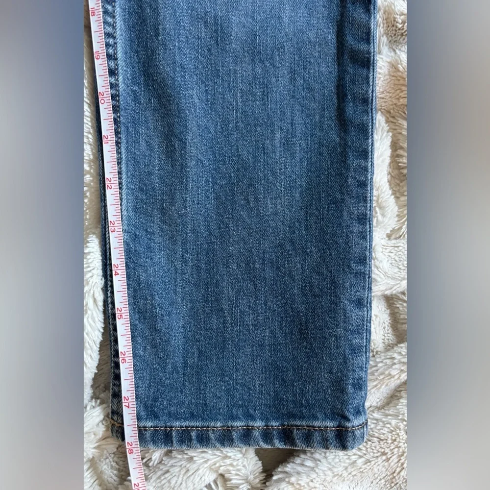 Everlane Cheeky Jean in Medium Wash, Size 25 Regular